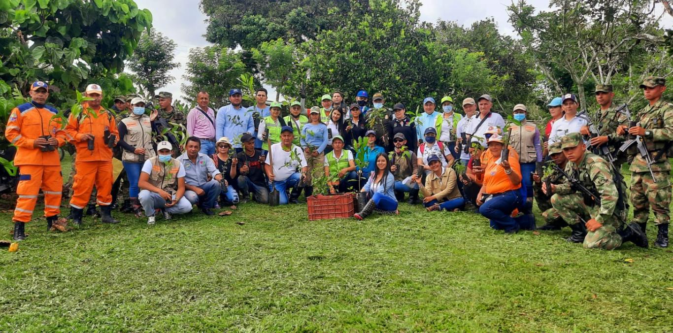 LA CVC LIDERÓ SEMBRATÓN DE MÁS DE 400 MIL ÁRBOLES EN TODO EL VALLE DEL CAUCA