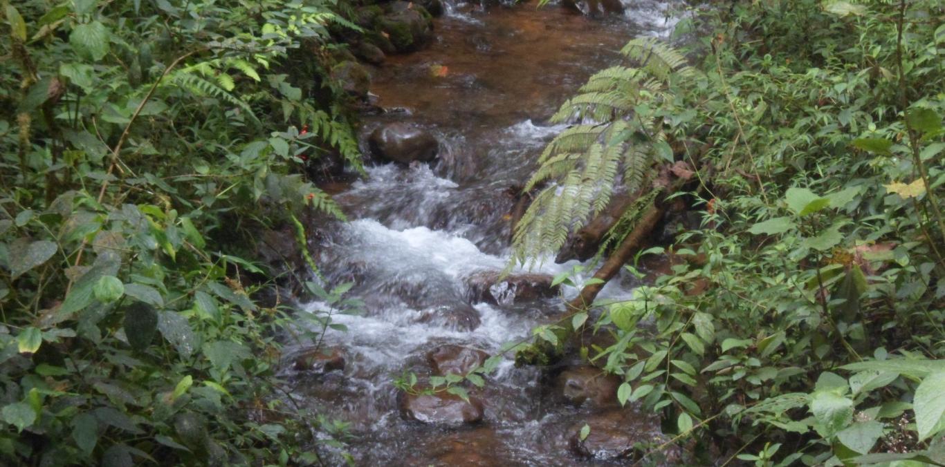 CVC FORTALECE ACUEDUCTOS RURALES EN EL TEMA DEL USO EFICIENTE Y AHORRO DEL AGUA