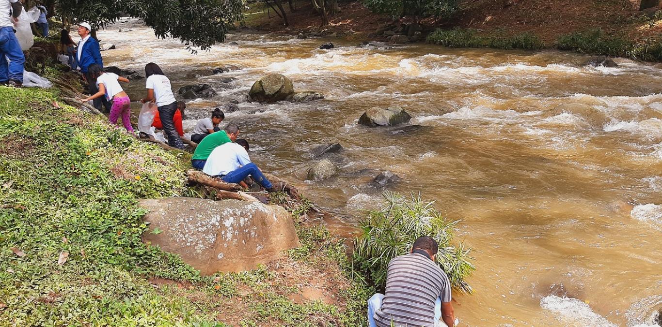 SE SEMBRARON 10.000 ALEVINOS DE BOCACHICO EN EL RÍO CALI