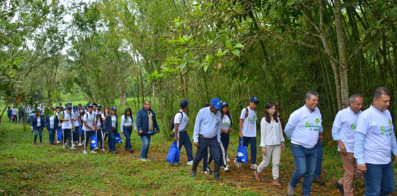 "VALLE MÁS VERDE" LLEGÓ A LOS 5 MILLONES DE ÁRBOLES SEMBRADOS