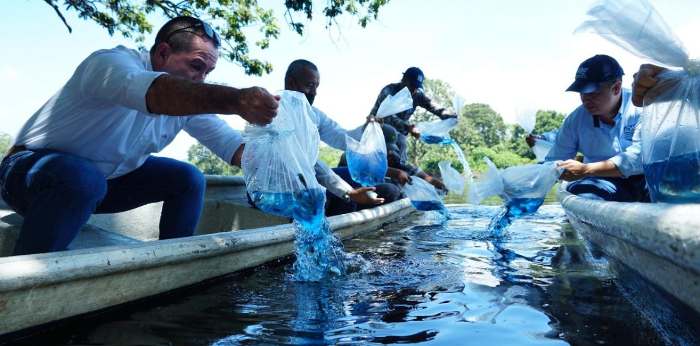 RÍO CAUCA TENDRÁ DOS MUELLES TURÍSTICOS Y SE RECUPERARÁ SU NAVEGABILIDAD