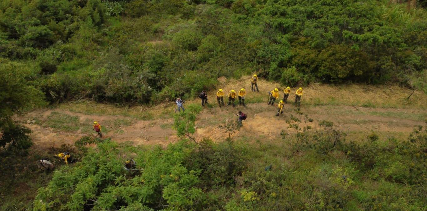 SE REALIZÓ UN SIMULACRO DE INCENDIO FORESTAL EN CERROS TUTELARES DE CALI