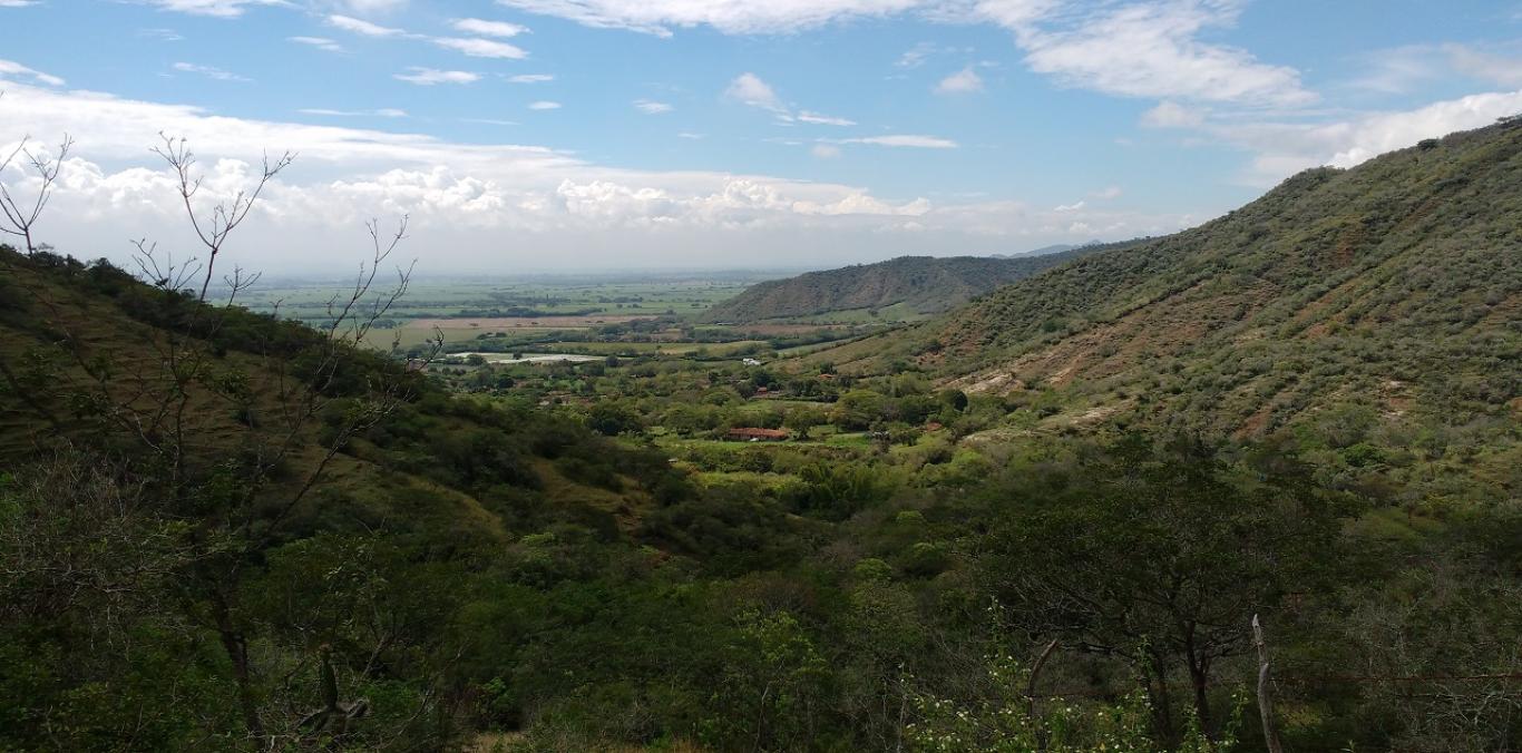 ÁREA PROTEGIDA RUT NATIVOS SE AMPLIARÁ HACIA EL MUNICIPIO DE BOLÍVAR 