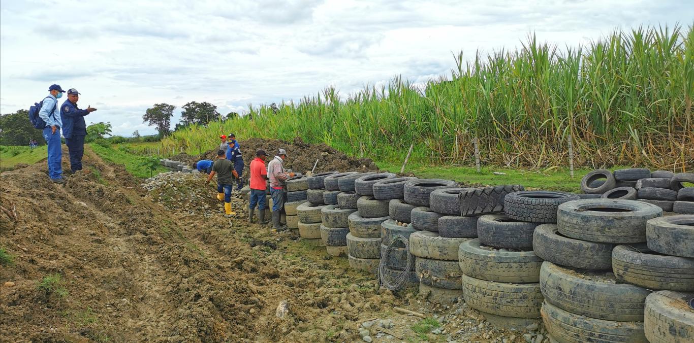 COMUNIDAD CONSTRUYE JARILLÓN TRANSITORIO PARA EVITAR DESBORDAMIENTO DEL RÍO CAUCA