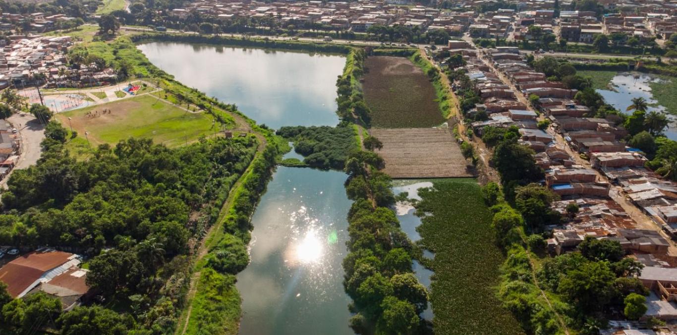 UN GRAN BIOFILTRO YA ESTÁ DESCONTAMINANDO LA LAGUNA DE CHARCO AZUL