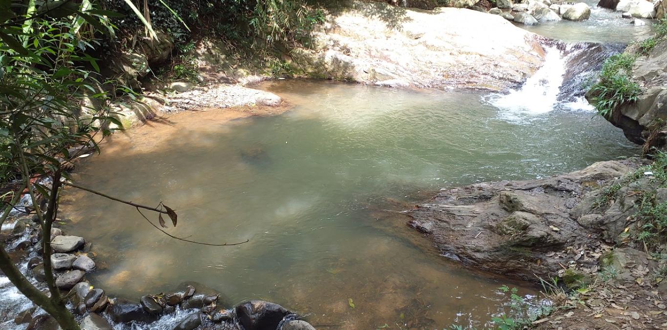 INICIÓ EL TRABAJO DE RECUPERACIÓN AMBIENTAL PARA SALVAR AL RÍO AGUACATAL