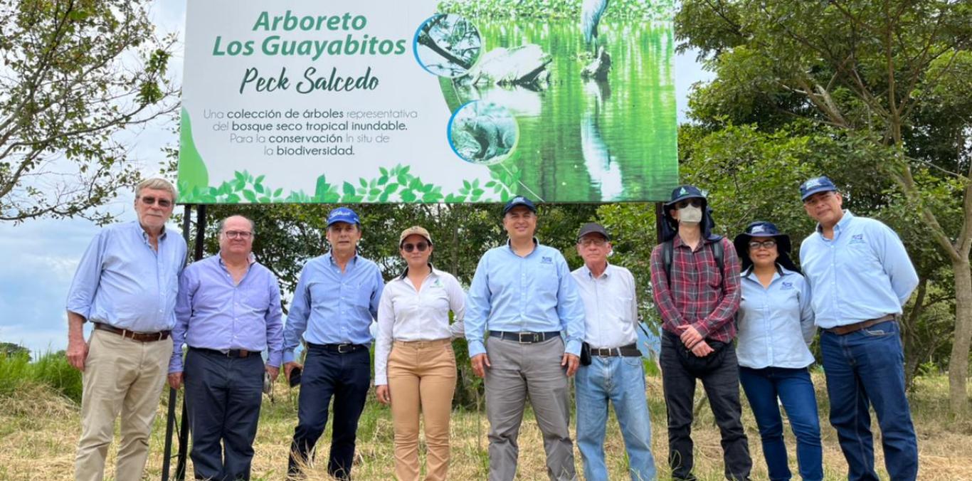 ASOYOTOCO Y CAÑICULTORES ESTÁN CREANDO UN CORREDOR DE FAUNA QUE UNA LAS CORDILLERAS