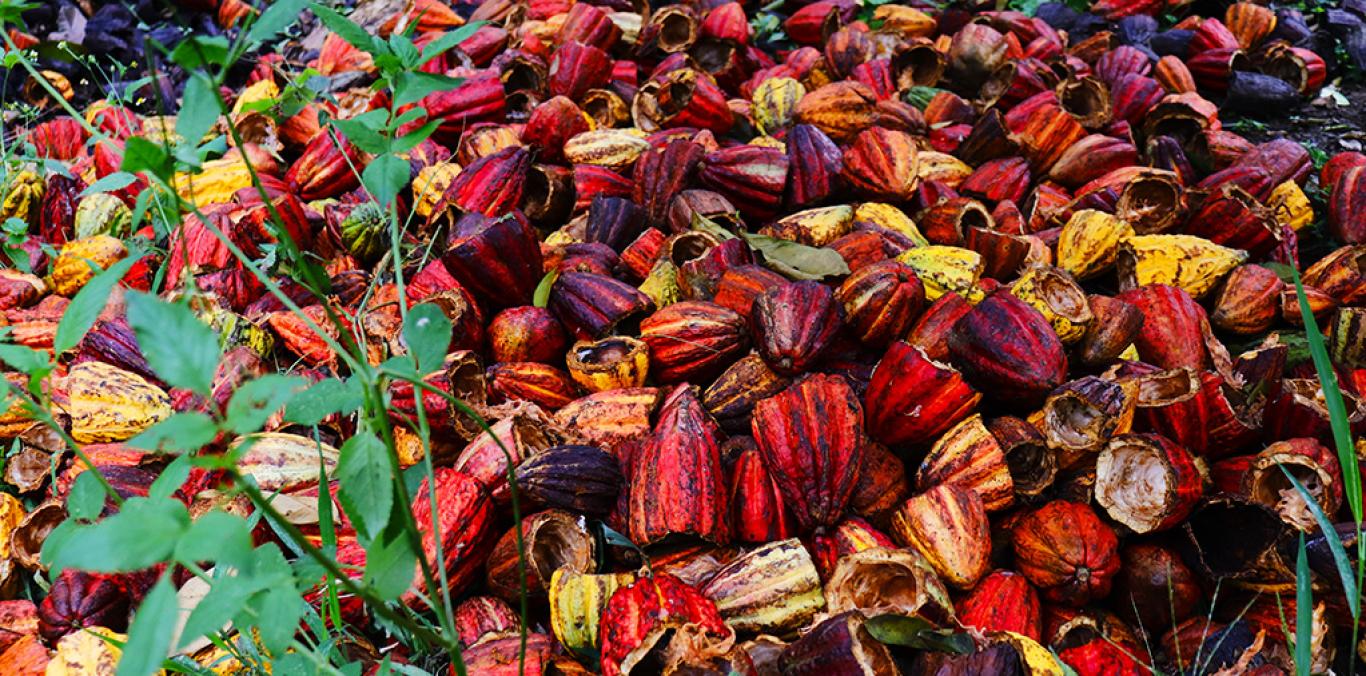 "AQUÍ SE PREPARA EL MEJOR CHOCOLATE DEL MUNDO"