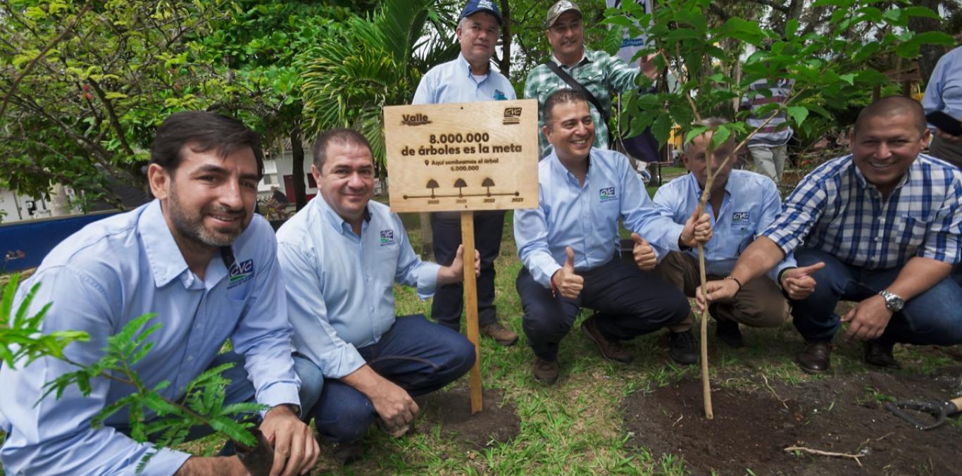 ¡LLEGAMOS A LOS 6 MILLONES DE ÁRBOLES!