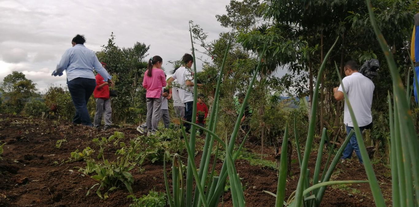 NIÑOS CULTIVAN SUS ALIMENTOS DE FORMA ORGÁNICA 