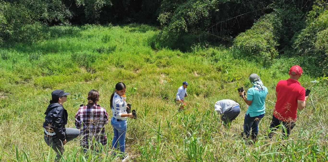 SIEMBRAS PROTEGERÁN FUENTES HÍDRICAS EN EL NORTE DEL VALLE DEL CAUCA 