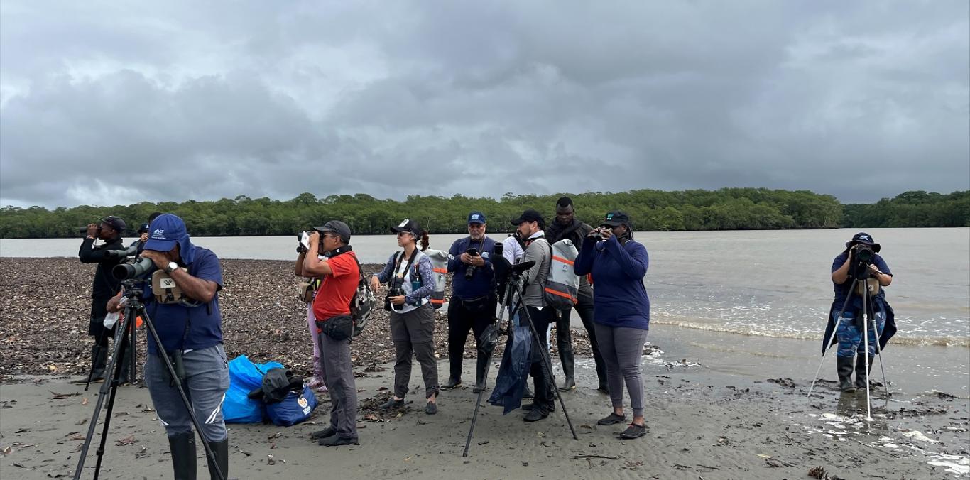 CIENTÍFICOS Y COMUNIDAD MONITOREAN AVES Y TORTUGAS EN ISLA AJÍ