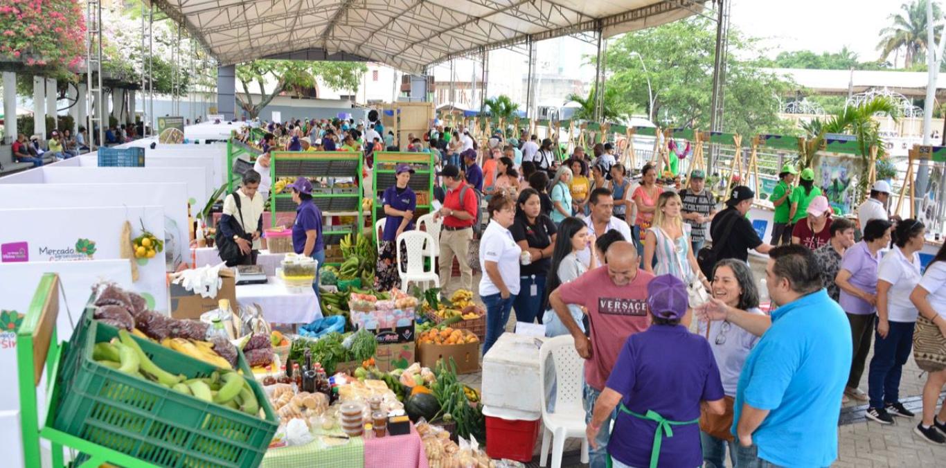 LA GRAN VITRINA VERDE ENAMORÓ A CALI