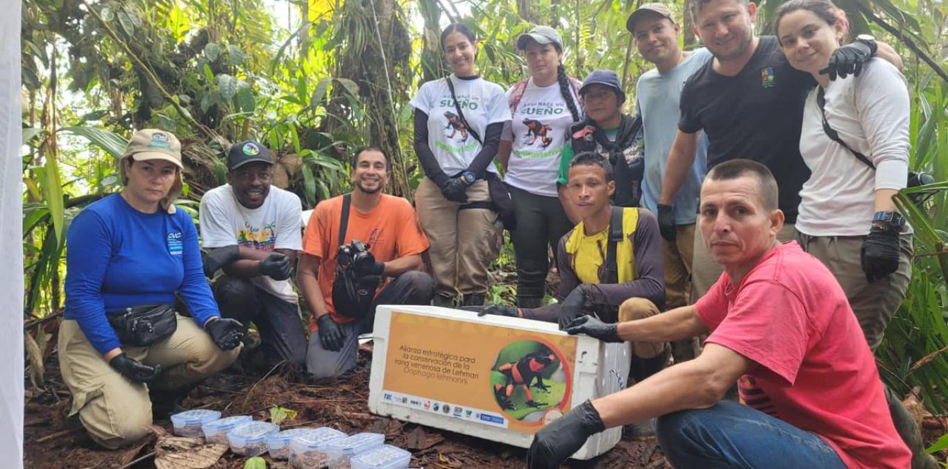 28 NUEVOS INDIVIDUOS DE LA RANA OOPHAGA LEHMANNI SERÁN LIBERADOS EN SU HÁBITAT 