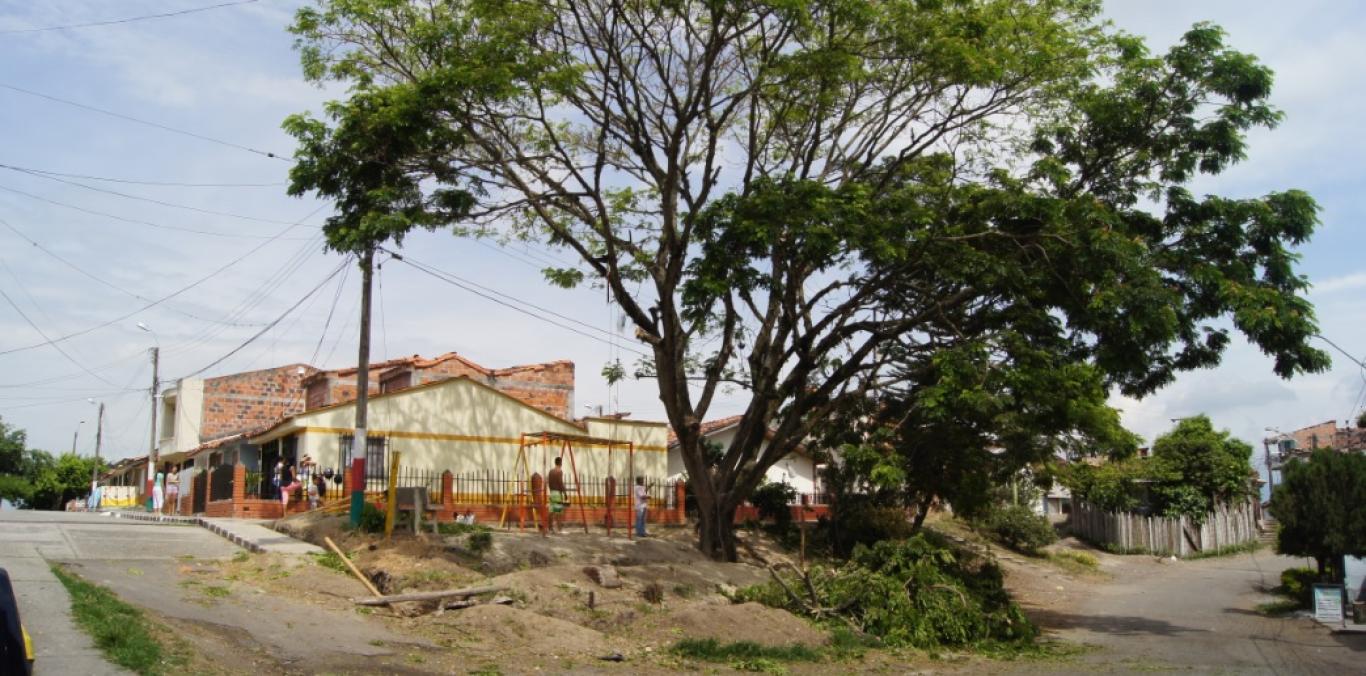 CVC ATIENDE DENUNCIAS DE LA COMUNIDAD POR TALAS Y PODAS SIN AUTORIZACIÓN EN CARTAGO  