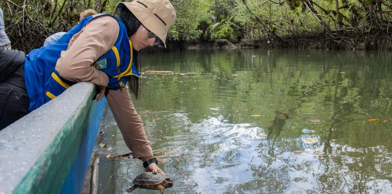 MÁS DE CUARENTA INDIVIDUOS DE FAUNA SILVESTRE FUERON LIBERADOS