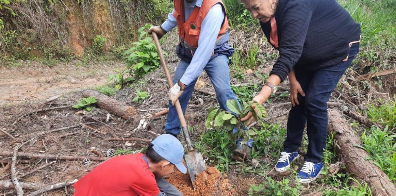 Con el fin de mejorar y proteger los nacimientos de agua en zona estratégica del municipio, la CVC y diversos actores sociales sembraron especies como caimo amarillo, caimo rosado, guamo, arrayán, marañón, entre otras. Vamos hacia un Valle más verde.