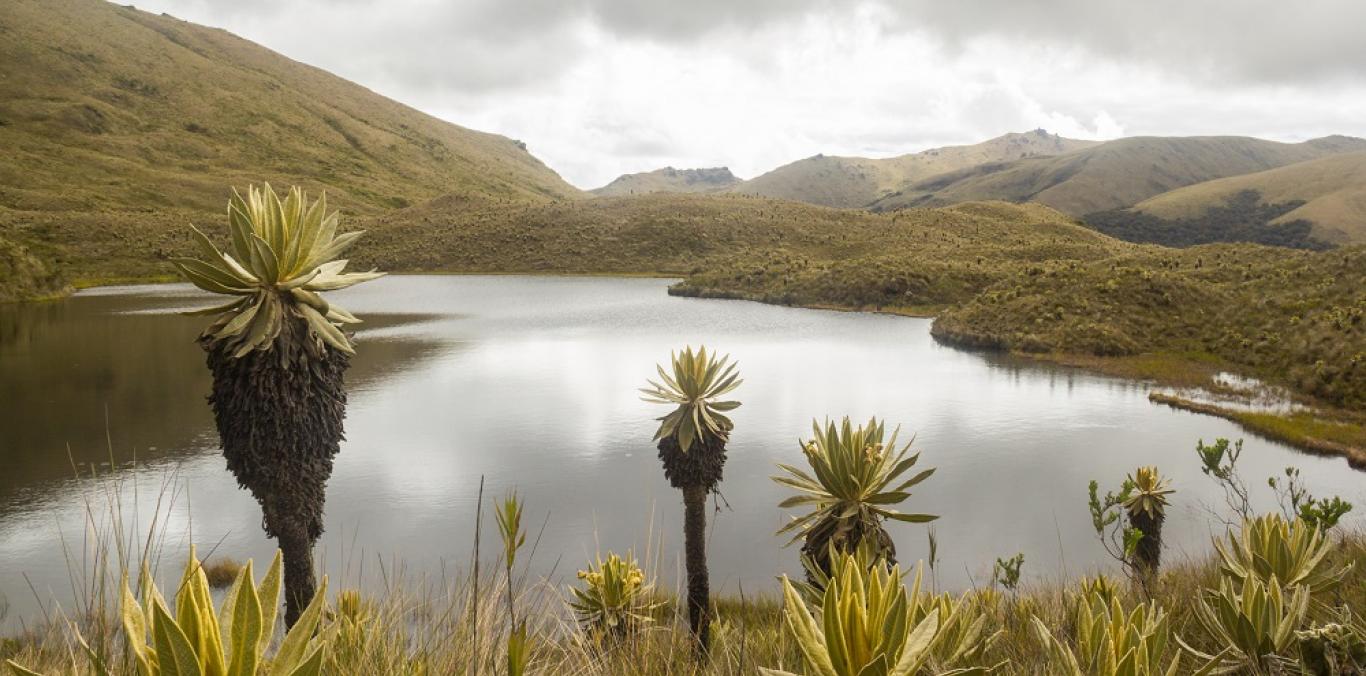 Las CAR inician la conmemoración de los 30 años del Sistema Nacional Ambiental – SINA, destacando la contribución a las áreas protegidas regionales, su gestión y declaratoria.