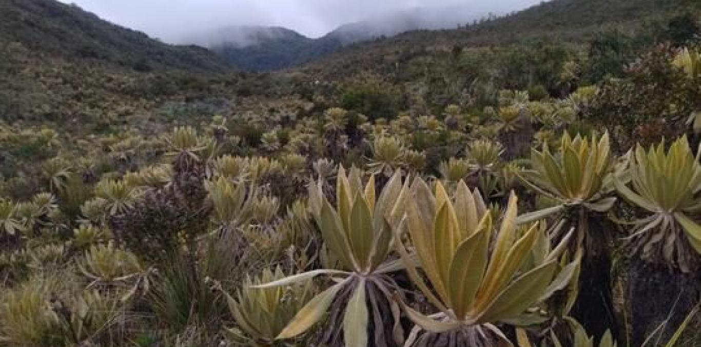 EL ÁREA PROTEGIDA MEJOR CONSERVADA DEL PAÍS ESTÁ EN EL VALLE Y AHORA ES MÁS GRANDE