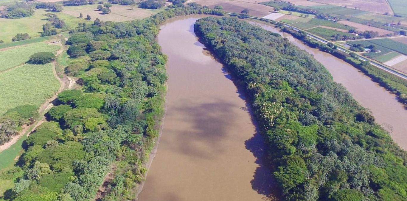 NUEVA ÁREA PROTEGIDA DE ZARZAL ES LA ÚNICA DE ESTE TIPO EN EL VALLE DEL CAUCA