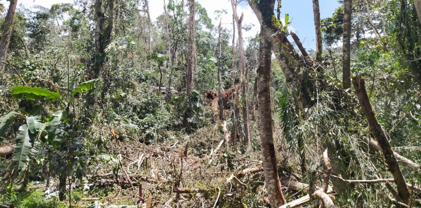 CVC HACE RECOMENDACIONES TÉCNICAS PARA AFRONTAR AFECTACIONES POR FUERTES LLUVIAS EN LA CUMBRE