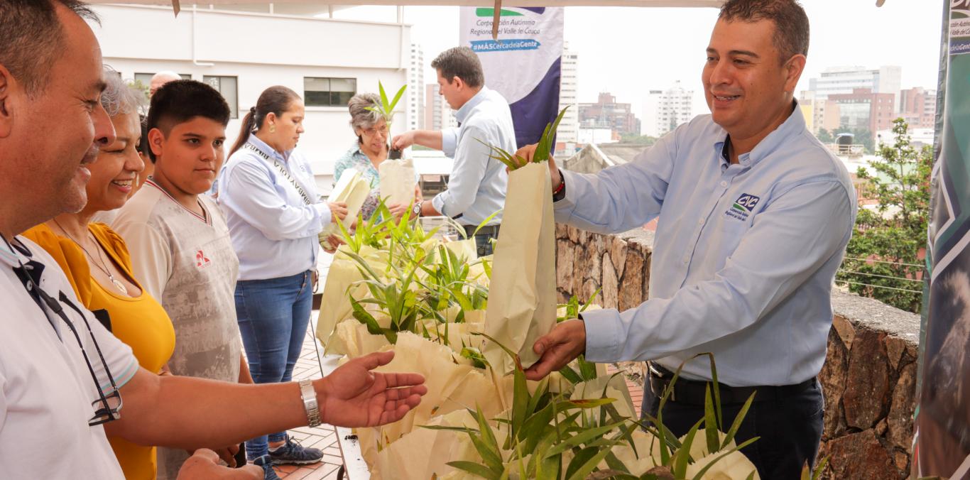 MÁS DE 51 MIL PALMAS ENTREGÓ LA CVC EN EL DOMINGO DE RAMOS