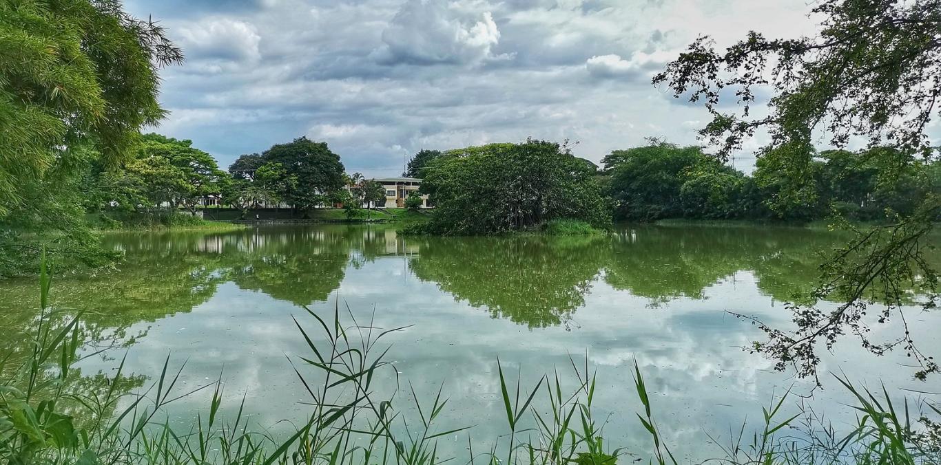 CVC INSPECCIONÓ EL LAGO CHILICOTE ANTE DENUNCIA POR MORTANDAD DE PECES