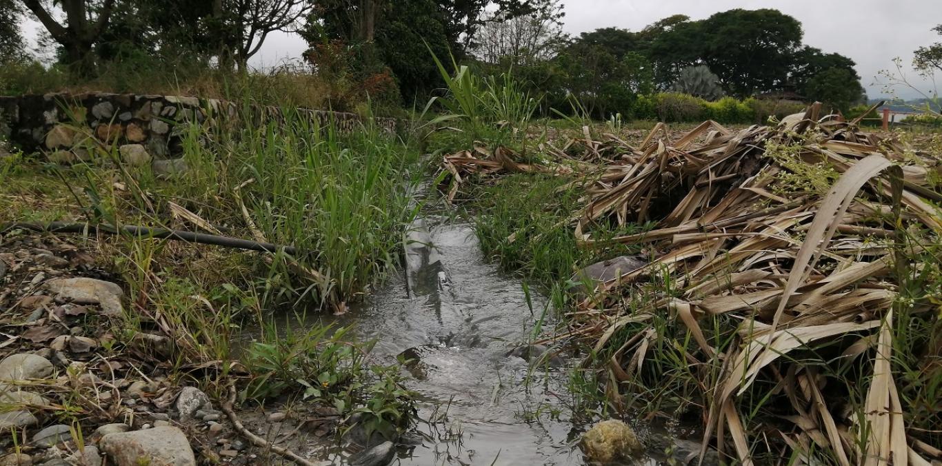 ESTUDIO BUSCA GARANTIZAR LA VIDA A FUTURO DEL RÍO NIMA, EN PALMIRA