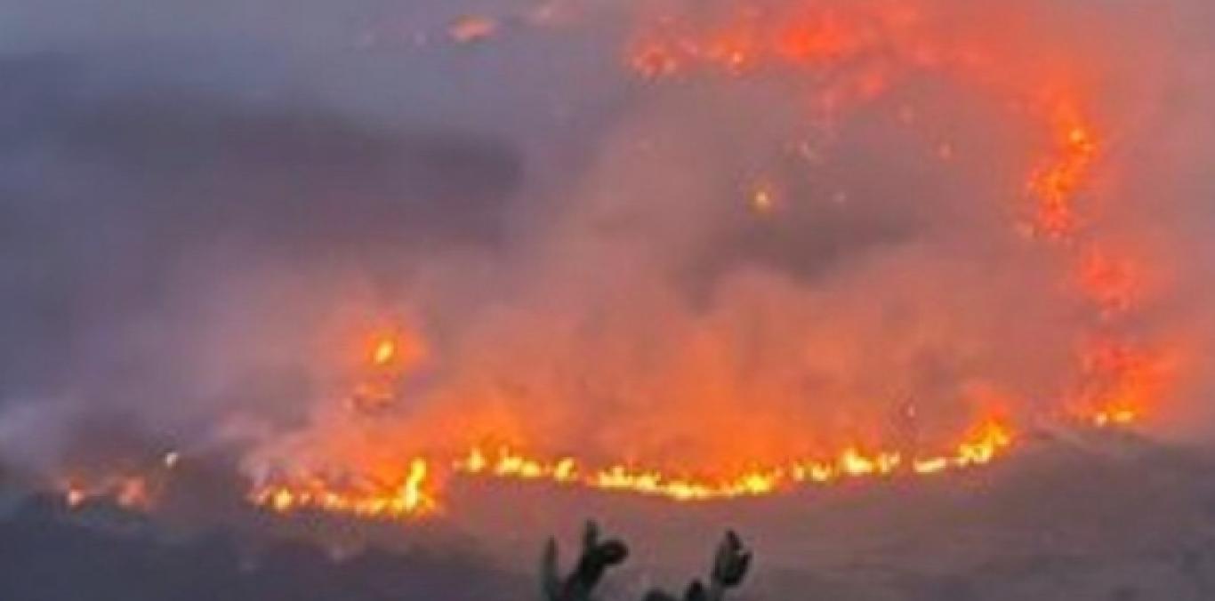 DESDE TIERRA Y AIRE FUE CONTROLADO INCENDIO FORESTAL EN ZONA MONTAÑOSA DE YOTOCO