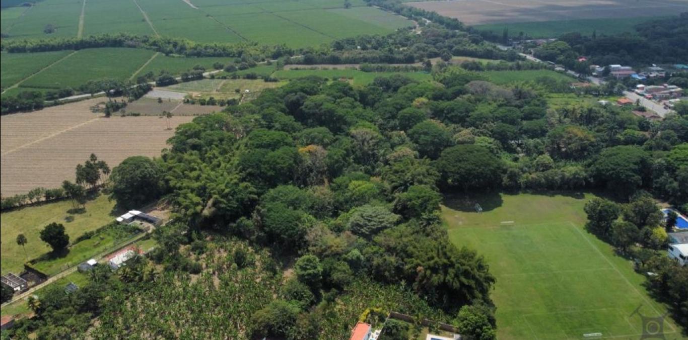 ECOSISTEMA DE BOSQUE SECO TROPICAL SE PROTEGE EN PALMIRA 