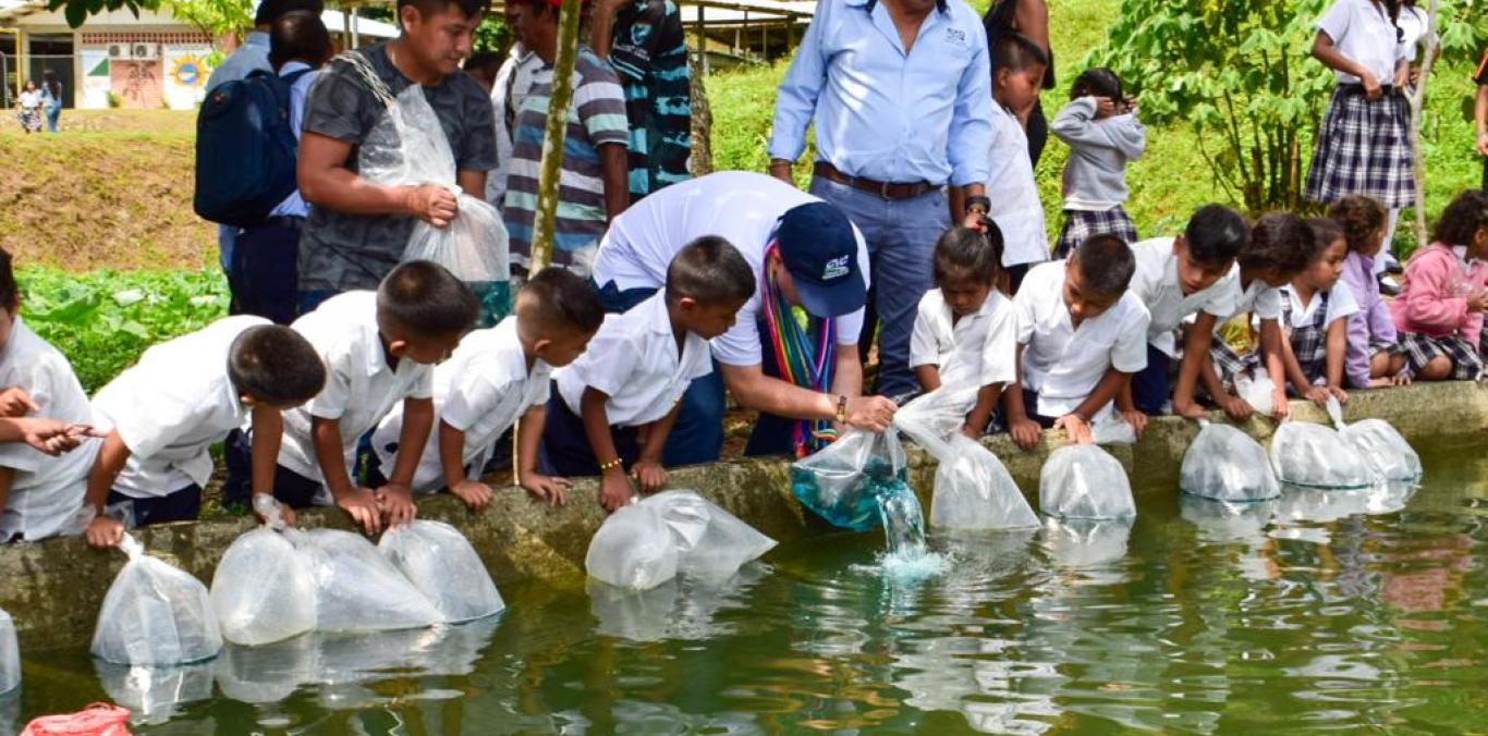 8.000 PECES FUERON SEMBRADOS PARA LA SEGURIDAD ALIMENTARIA DE COMUNIDAD INDÍGENA