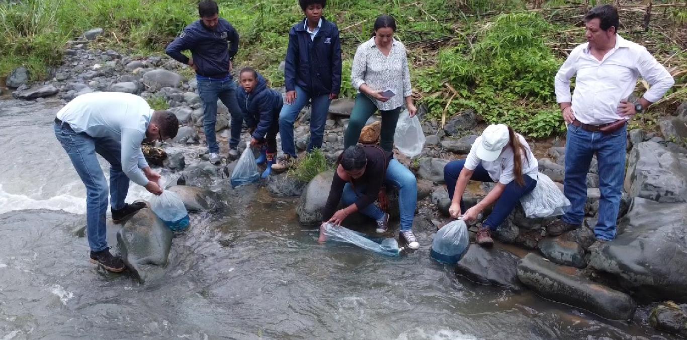 27 MIL ALEVINOS DE BOCACHICO Y SABALETA SE SEMBRARON EN TRES RÍOS DE CALI