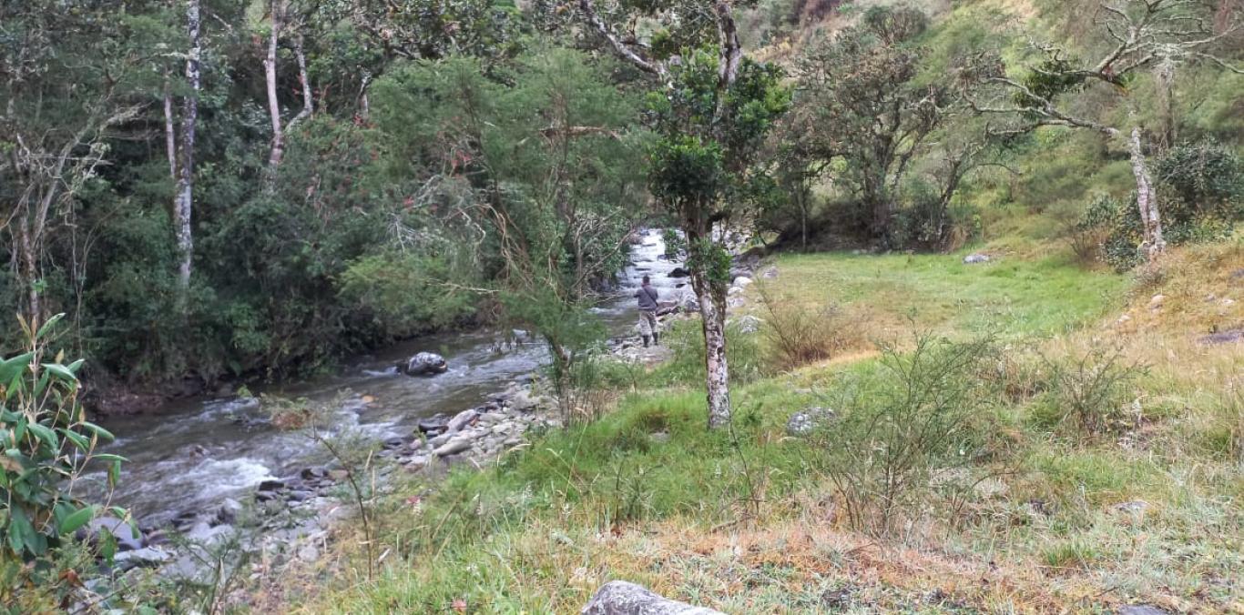 ASÍ SE CONSERVA EL AGUA EN LA CUENCA DEL RIO TULUÁ