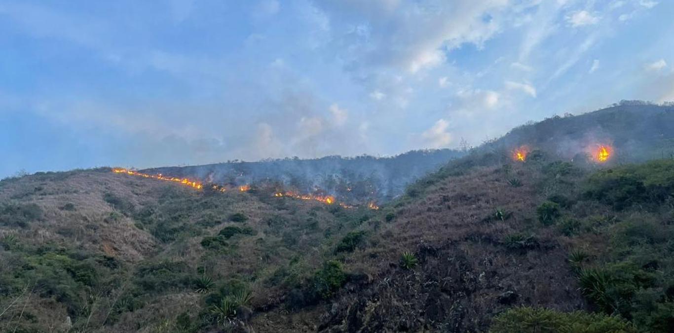 INCENDIO FORESTAL EN ROLDANILLO CONSUME MÁS DE 850 HECTÁREAS DE BOSQUE SECO 