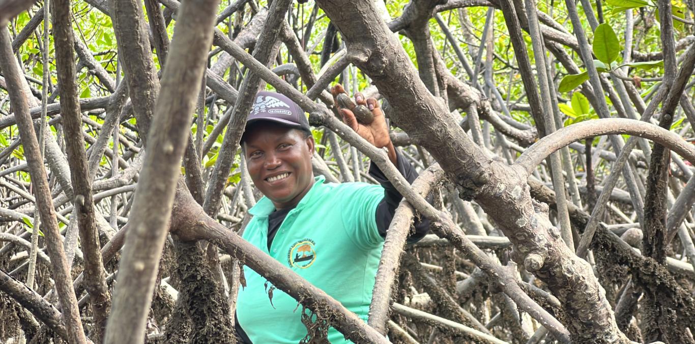 LA RUTA DE LA PIANGUA, UN RECORRIDO DE SABERES ANCESTRALES