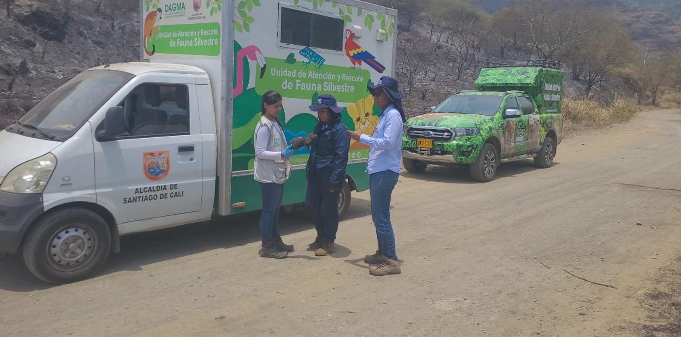 NO NOS VAMOS A RENDIR ANTE LAS MANOS CRIMINALES, VAMOS A RECUPERAR LOS CERROS