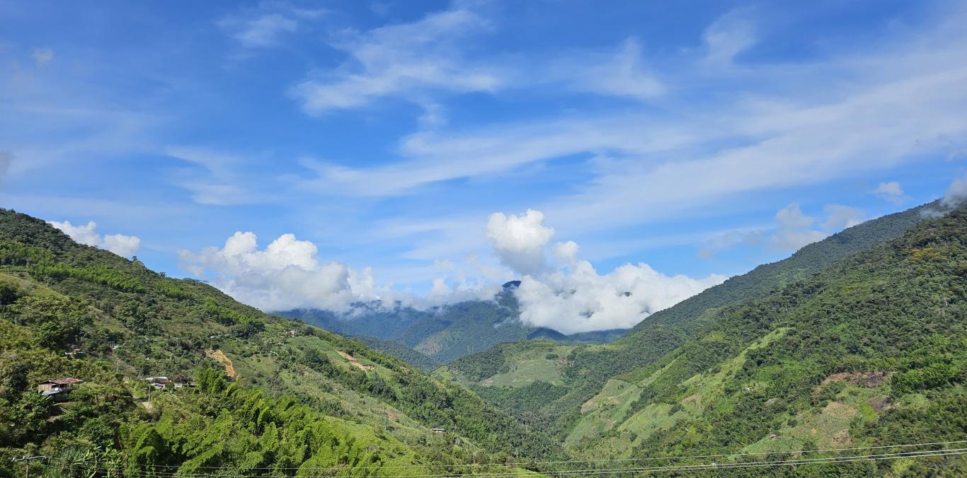 PRONTO, EL VALLE DEL CAUCA TENDRÁ UNA NUEVA ÁREA PROTEGIDA EN CALIMA EL DARIÉN