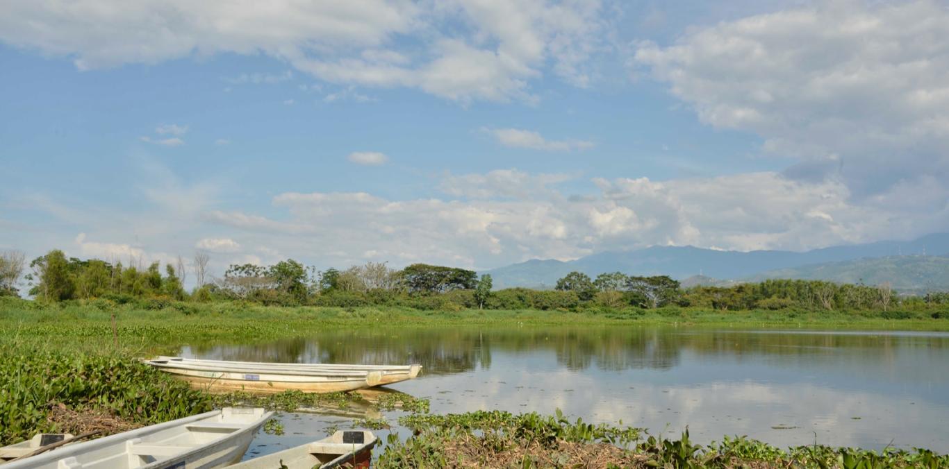 CON SIEMBRA EN LA LAGUNA DE SONSO SE ALCANZARON LOS 3.500.000 PECES SEMBRADOS