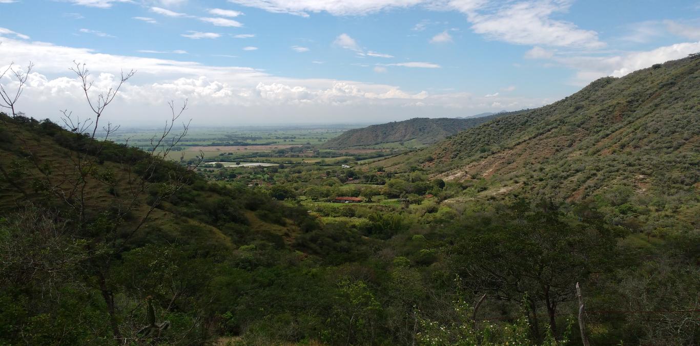 2.417 HECTÁREAS SE SUMAN DESDE HOY A LAS ÁREAS PROTEGIDAS DEL VALLE DEL CAUCA