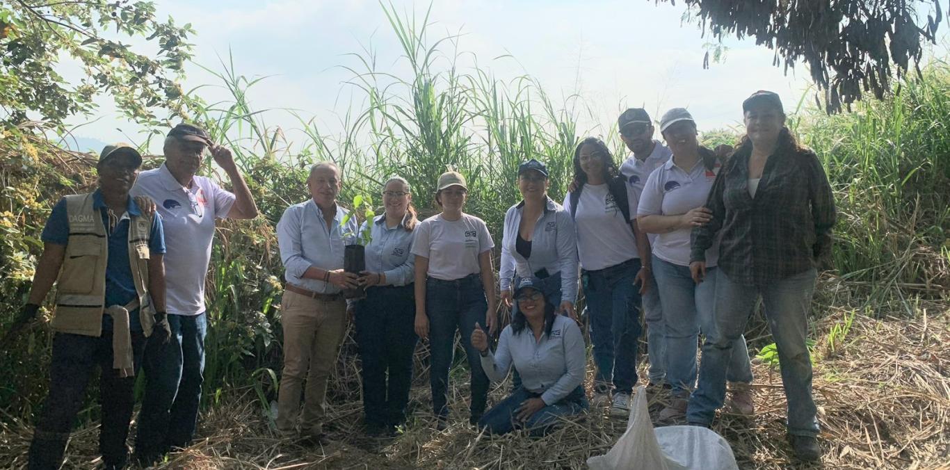 1.250 ÁRBOLES SE SEMBRARON RECIENTEMENTE EN CALI 