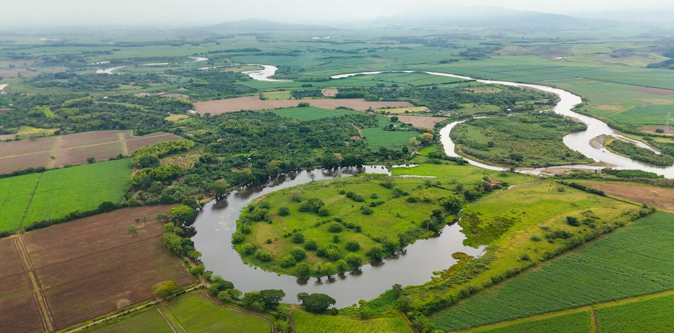 SE SEMBRARÁN 5 MILLONES DE PECES EN LOS PRÓXIMOS 4 AÑOS 