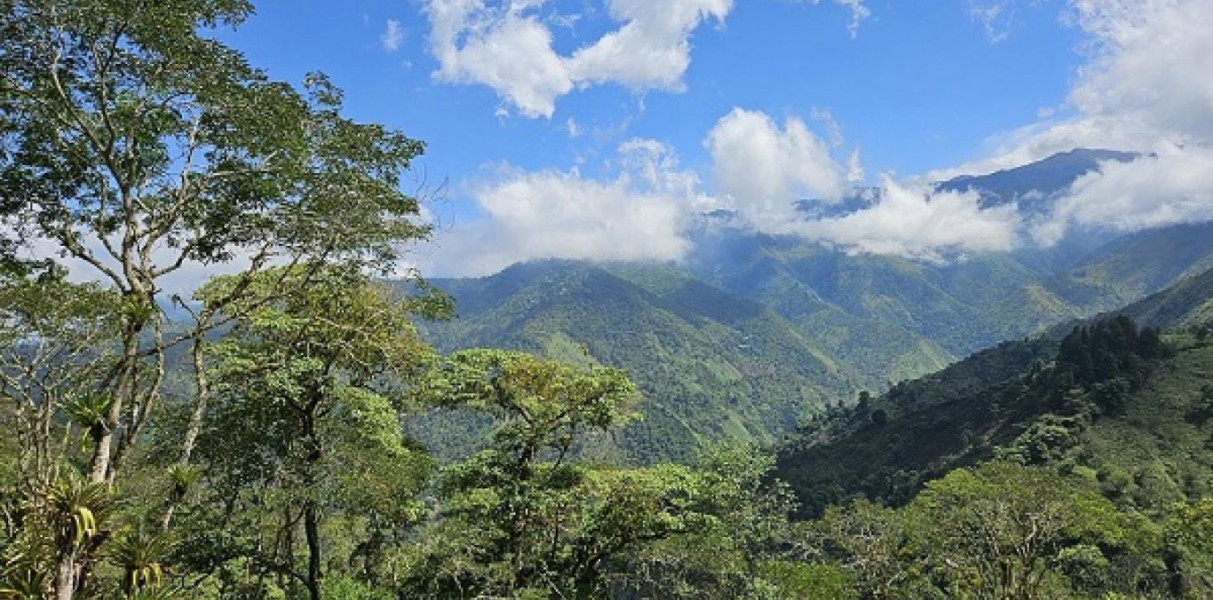 CVC Y CABILDO INDÍGENA KWESX TATA KIWE – LAS GUACAS CONSERVARÁN CUENCA DEL RÍO FRAYLE 