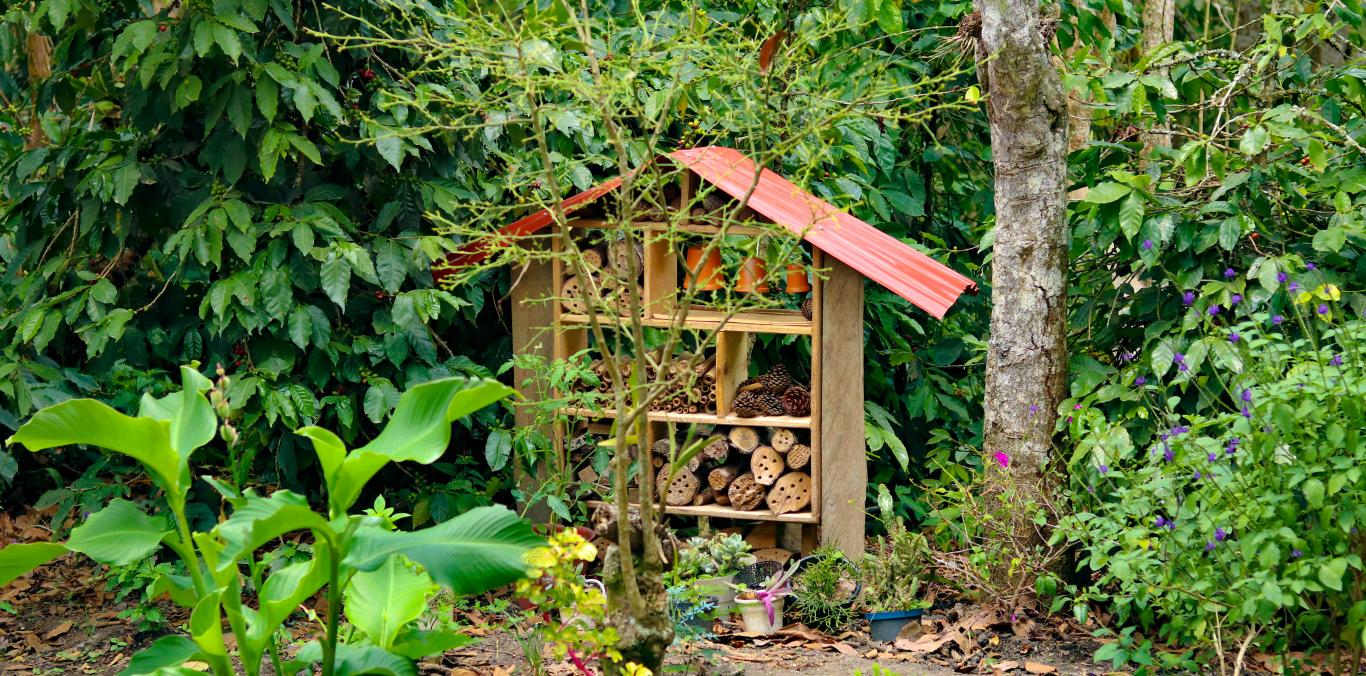 FAMILIAS DE BOLÍVAR CREARON HOTELES PARA ESPECIES POLINIZADORAS