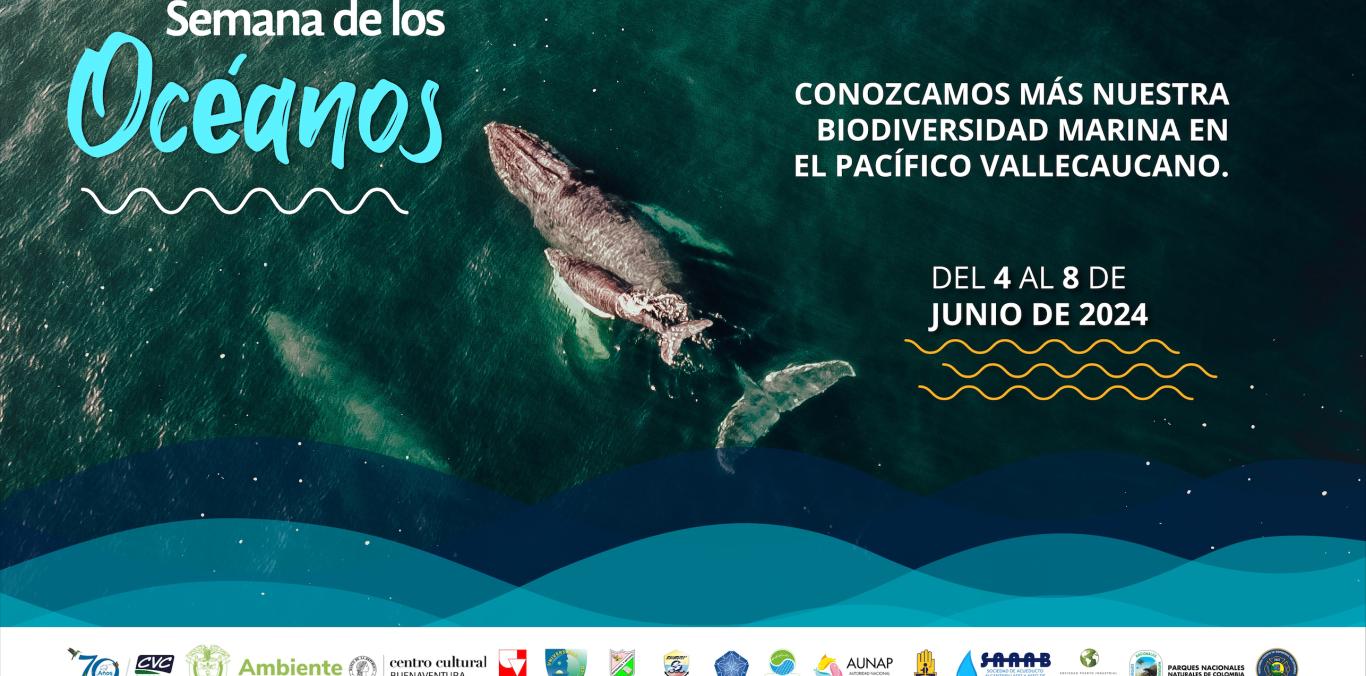 SE REALIZARÁ LA SEMANA DE LOS OCÉANOS EN BUENAVENTURA