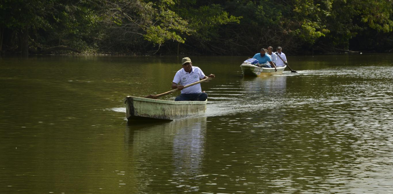 EL VALLE DEL CAUCA, UN PARAÍSO PROTEGIDO 