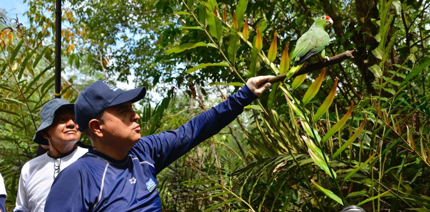 LIBERACIÓN DE 74 ANIMALES DE LA FAUNA SILVESTRE