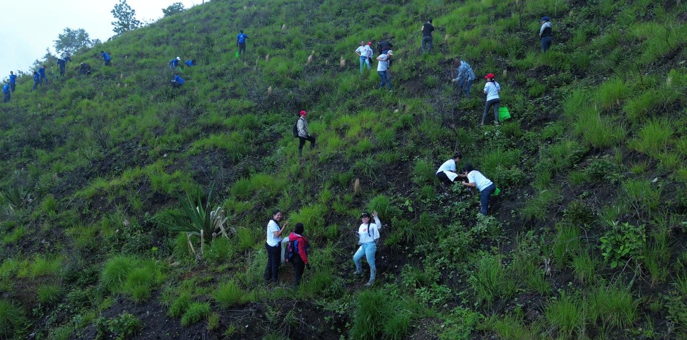 SE SEMBRARON 200 ÁRBOLES EN LA CUENCA YUMBO