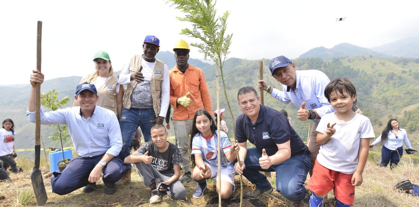 DEFORESTACIÓN EN EL VALLE SE REDUJO EN 56.5%