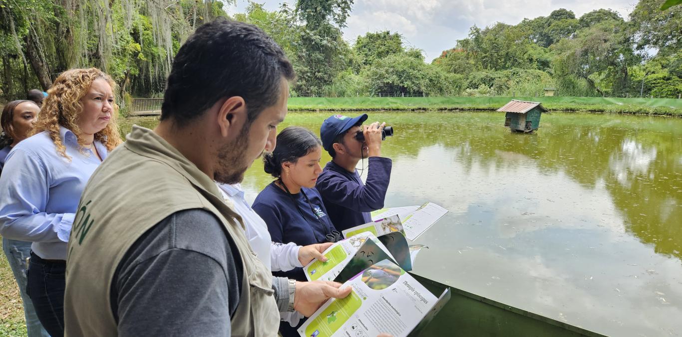 DESARROLLAMOS GUÍA DE AVES DE LA VEREDA SAN EMIGDIO, EN PALMIRA  