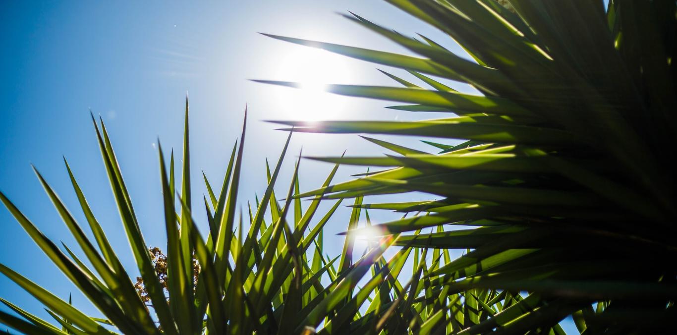 EN EL VALLE DEL CAUCA SE REGISTRÓ LA TEMPERATURA MÁS ALTA DE SU HISTORIA